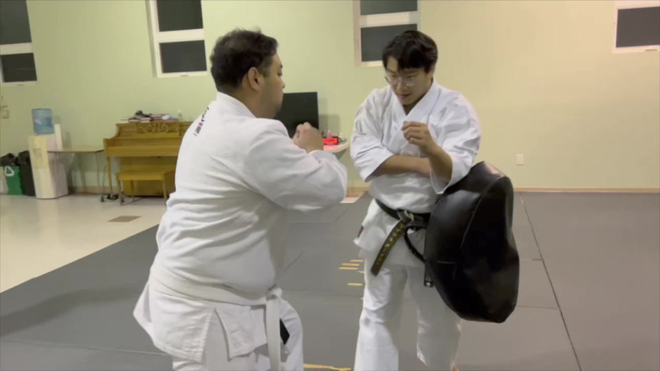 PD001 Partner Drill - Shove Roundhouse